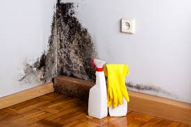 Mold Removal for HVAC Installations in Willow Grove, TX